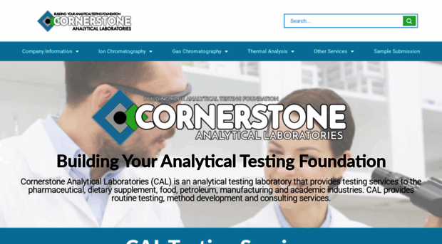 cornerstoneanalytical.com