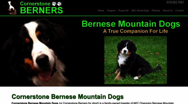 cornerstoneberners.com