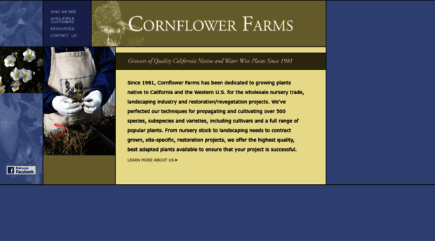 cornflowerfarms.com