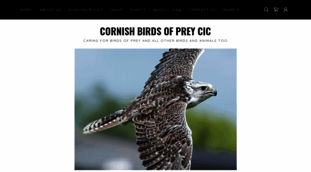 cornishbirdsofprey.co.uk