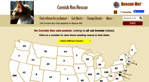 cornishrex.rescueme.org