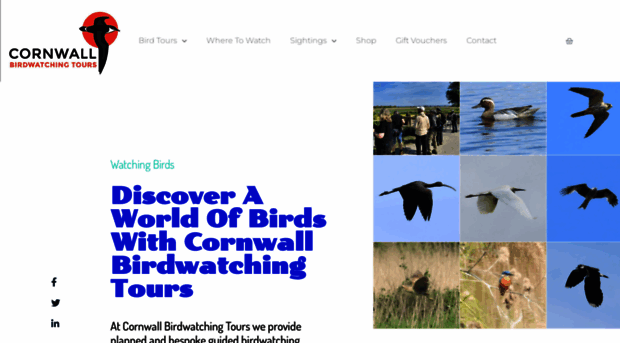 cornwall-birding.co.uk