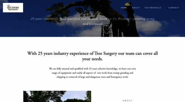 cornwalltreesurgeon.com