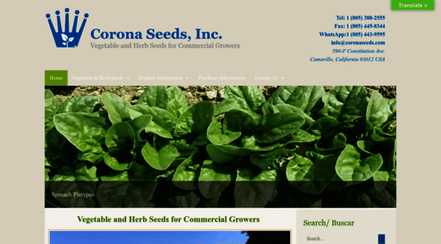 coronaseeds.com