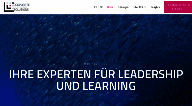 corporate-learning-solutions.eu