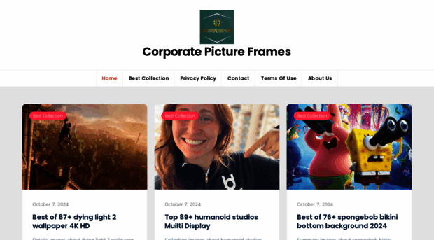 corporatepictureframes.com