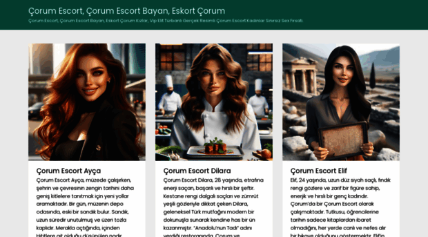 corumteknikservis.com