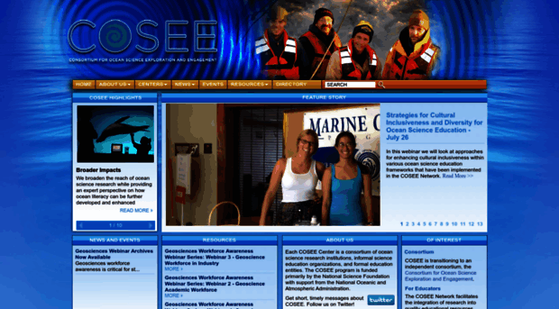 cosee.net