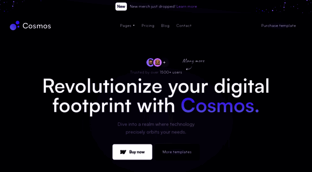 cosmos-theme.webflow.io