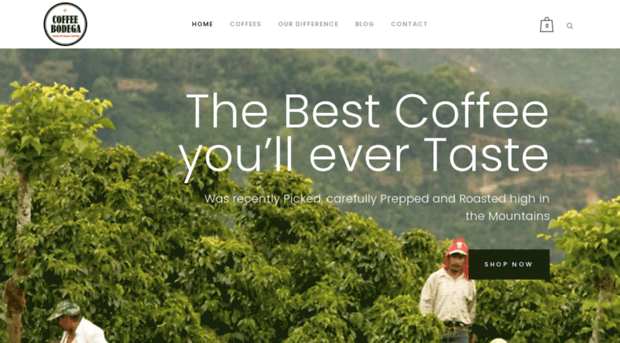 costaricacoffeeshop.com