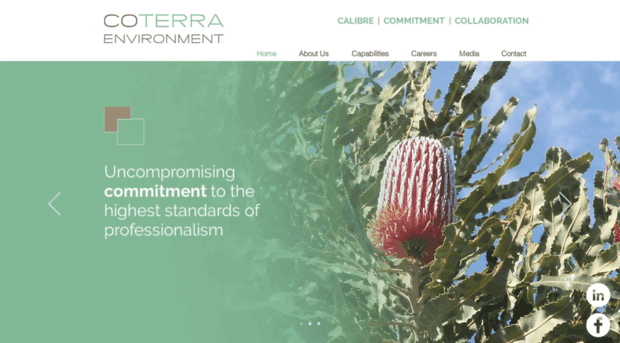 coterra.com.au