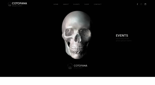 cotofanaanatomy.com