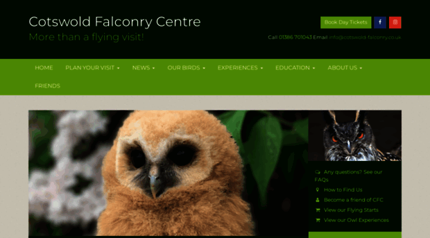 cotswold-falconry.co.uk