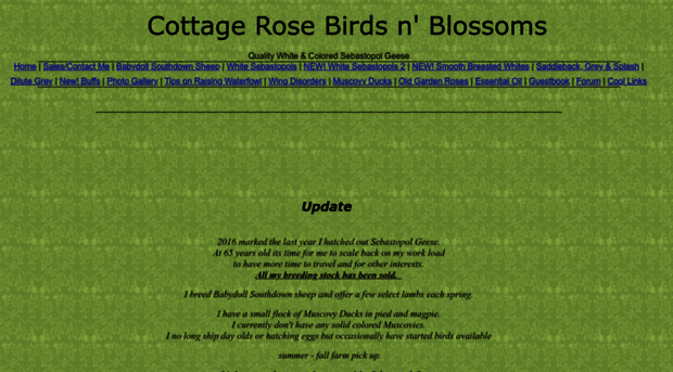 cottage_rose_birdsnblossoms.webs.com