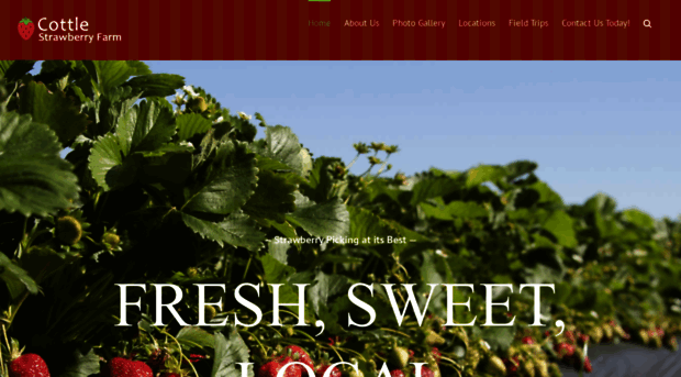 cottlestrawberryfarm.com