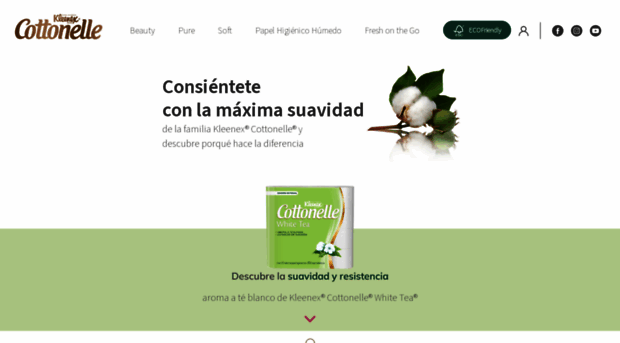 cottonelle.com.mx