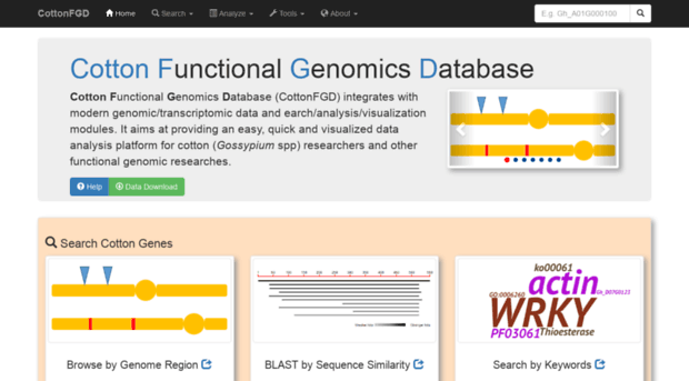 cottonfgd.org