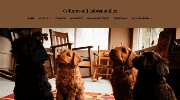 cottonwoodlabradoodles.com