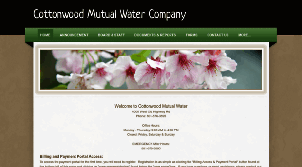 cottonwoodwater.com