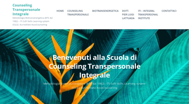 counselingtranspersonale.com