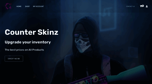 counterskinz.com