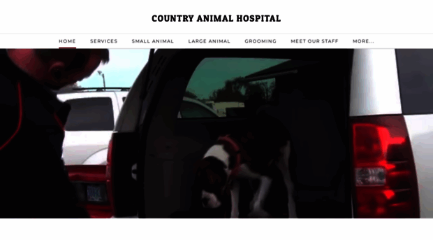 countryanimalhosp.com