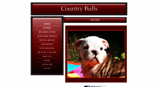 countrybulls.com