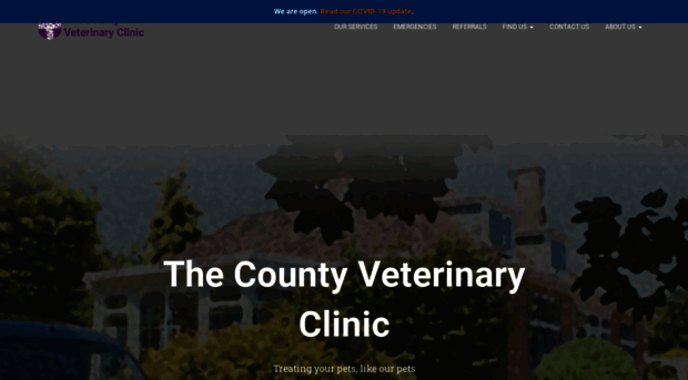 countyvetclinic.co.uk