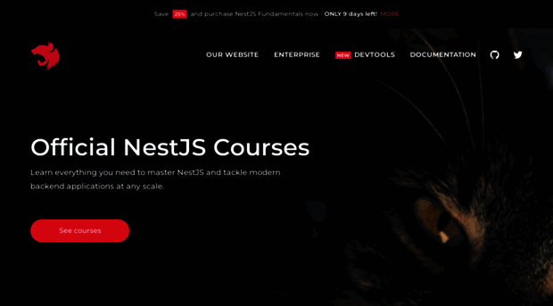 courses.nestjs.com