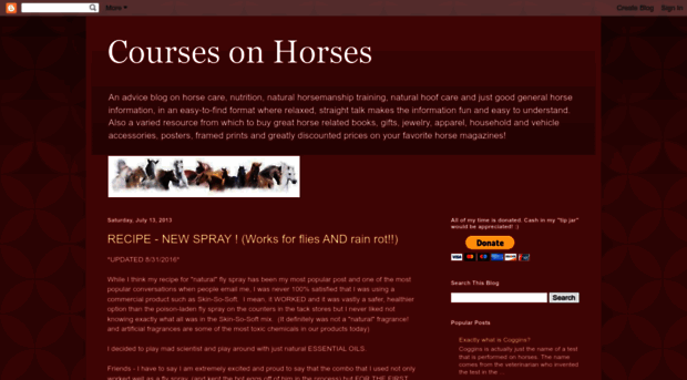 coursesonhorses.blogspot.com