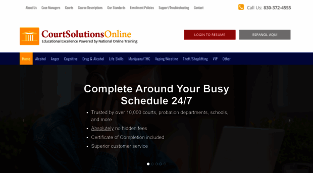 courtsolutionsonline.com