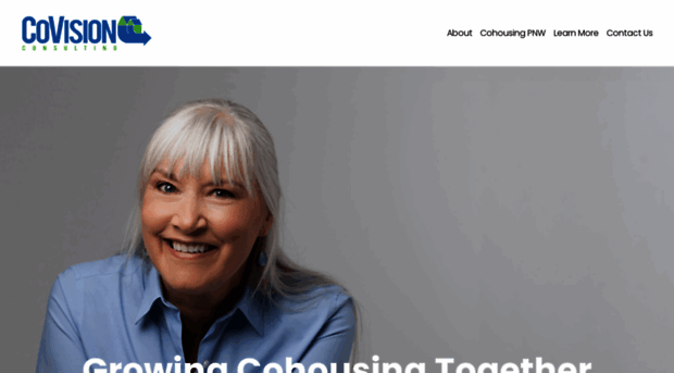 covisionconsulting.com