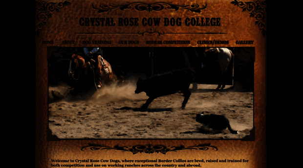 cowdogtrainingonline.com