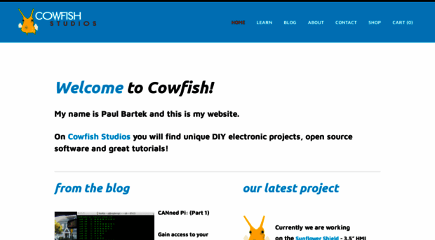 cowfishstudios.com