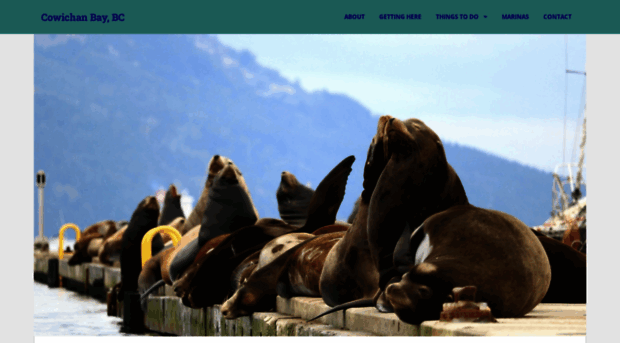cowichanbay.com
