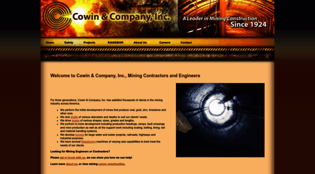 cowin-co.com