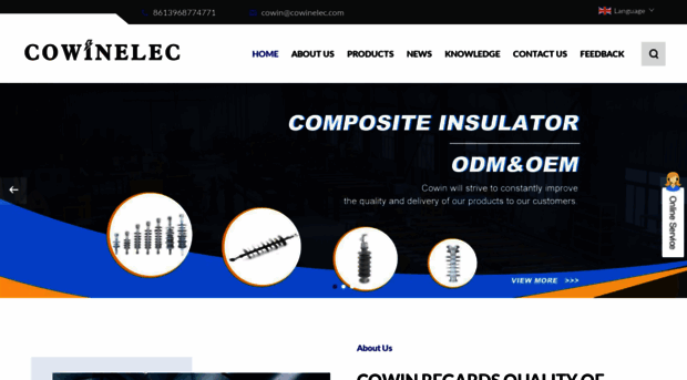 cowin-electrical.com