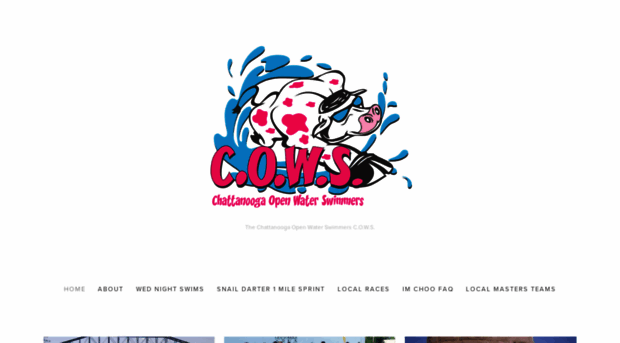 cowsswim.com