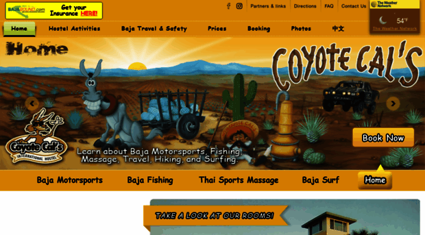 coyotecals.com