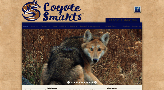 coyotesmarts.org