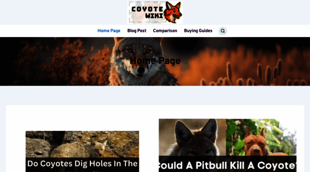 coyotewiki.com