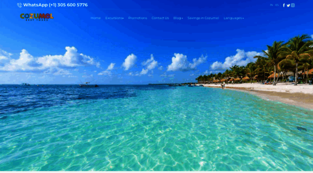 cozumelbesttours.com