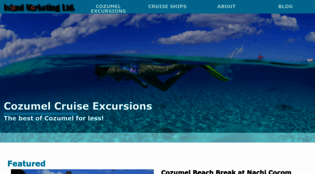 cozumelcruiseexcursions.com