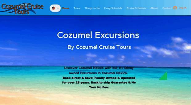 cozumelcruisetours.com