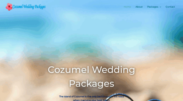 cozumelweddingpackages.com