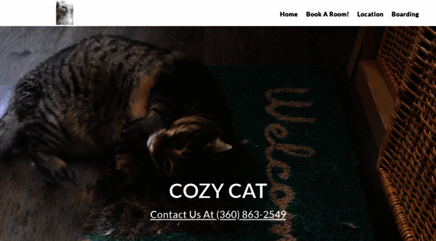 cozycatboarding.com