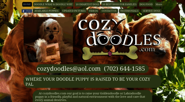 cozydoodles.com