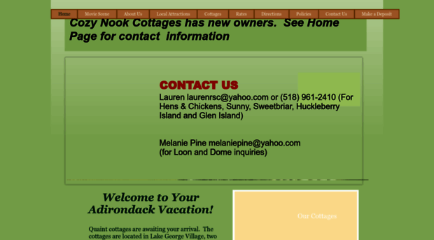 cozynooklakegeorge.com