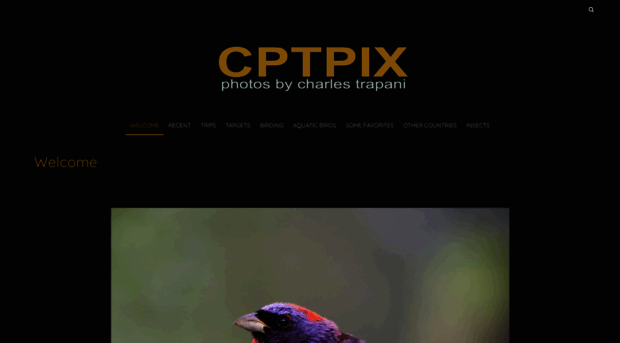 cptpix.com