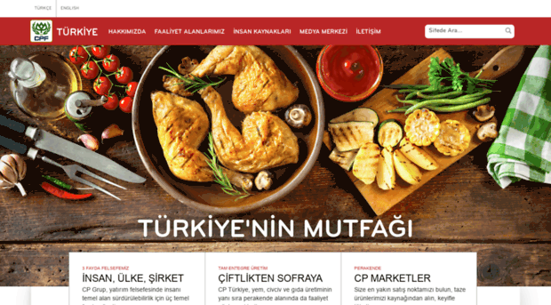 cpturkiye.com